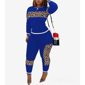 Womens Casual 2 Piece Outfits, Leopard Print Long Sleeve Top Pants Set 2XL